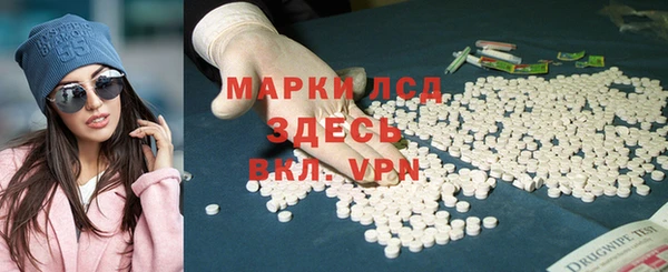 дмт Бородино