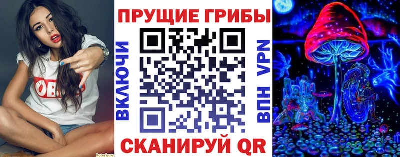 Галлюциногенные грибы Psilocybe  наркошоп  Гусев 